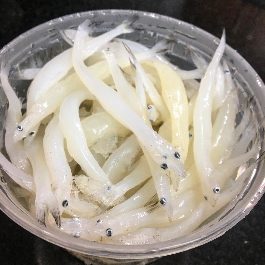 Frozen Whitebait Dried Small Silverfish White Bait - China Silverfish,  Frozen Squid Ring