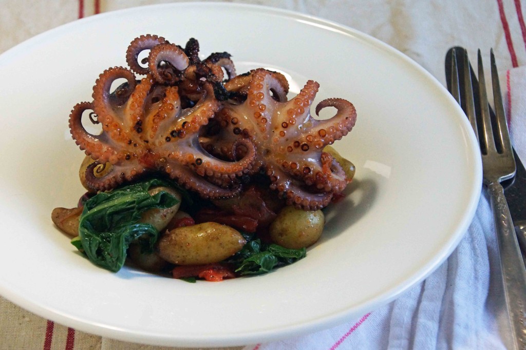 CB 20/40 IQF Frozen Baby Octopus (1KG) CB 20/40 迷你章鱼 (1公斤)