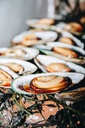 Frozen New Zealand Half Shell Green Mussels (907G) 冷冻纽西兰半壳青蚝 (907克)