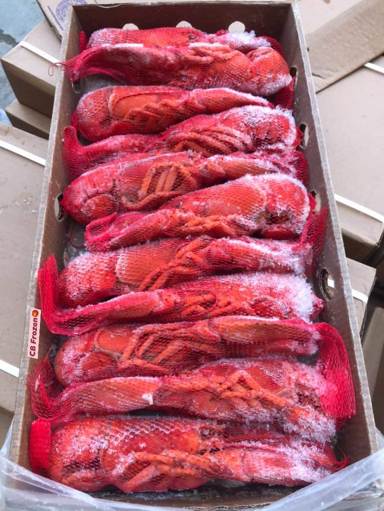 Frozen Whole Cooked Boston Lobster  (300-400G)  速冻波士顿熟龙虾 (300-400克)