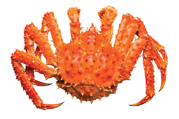 CB Special Chile King Crab Bundle