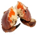 『9.9 DEALS』Frozen Cooked Ireland Brown Crab (800-1000UP) 冷冻爱尔兰熟面包蟹 (800-1000UP)