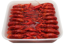 Frozen 20/30 Whole Cooked Crawfish (1KG) 冷冻 20/30清水小龙虾 (1公斤)