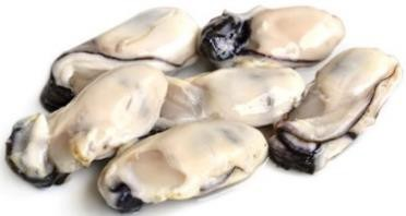 Frozen Oyster Meat (S) (1KG) 冷冻生蚝肉 (小) (1公斤)