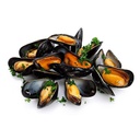 40/60 Chile Frozen Whole Shell Black Mussels (1KG) 40/60 智利全壳黑蚝 (1公斤)