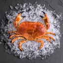 Frozen Cooked Ireland Brown Crab (800-1000UP) 冷冻爱尔兰熟面包蟹 (800-1000UP)