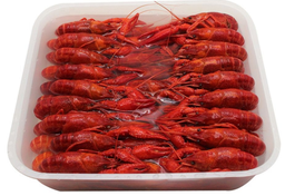 [1133] Frozen 20/30 Whole Cooked Crawfish (1KG) 冷冻 20/30清水小龙虾 (1公斤)