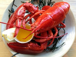 [1114] Frozen Whole Cooked Boston Lobster  (300-400G)  速冻波士顿熟龙虾 (300-400克)