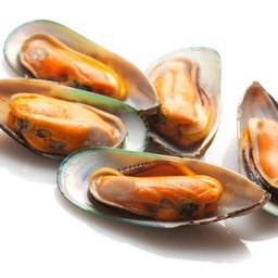 [SF-MS0907] Frozen New Zealand Half Shell Green Mussels (907G) 冷冻纽西兰半壳青蚝 (907克)